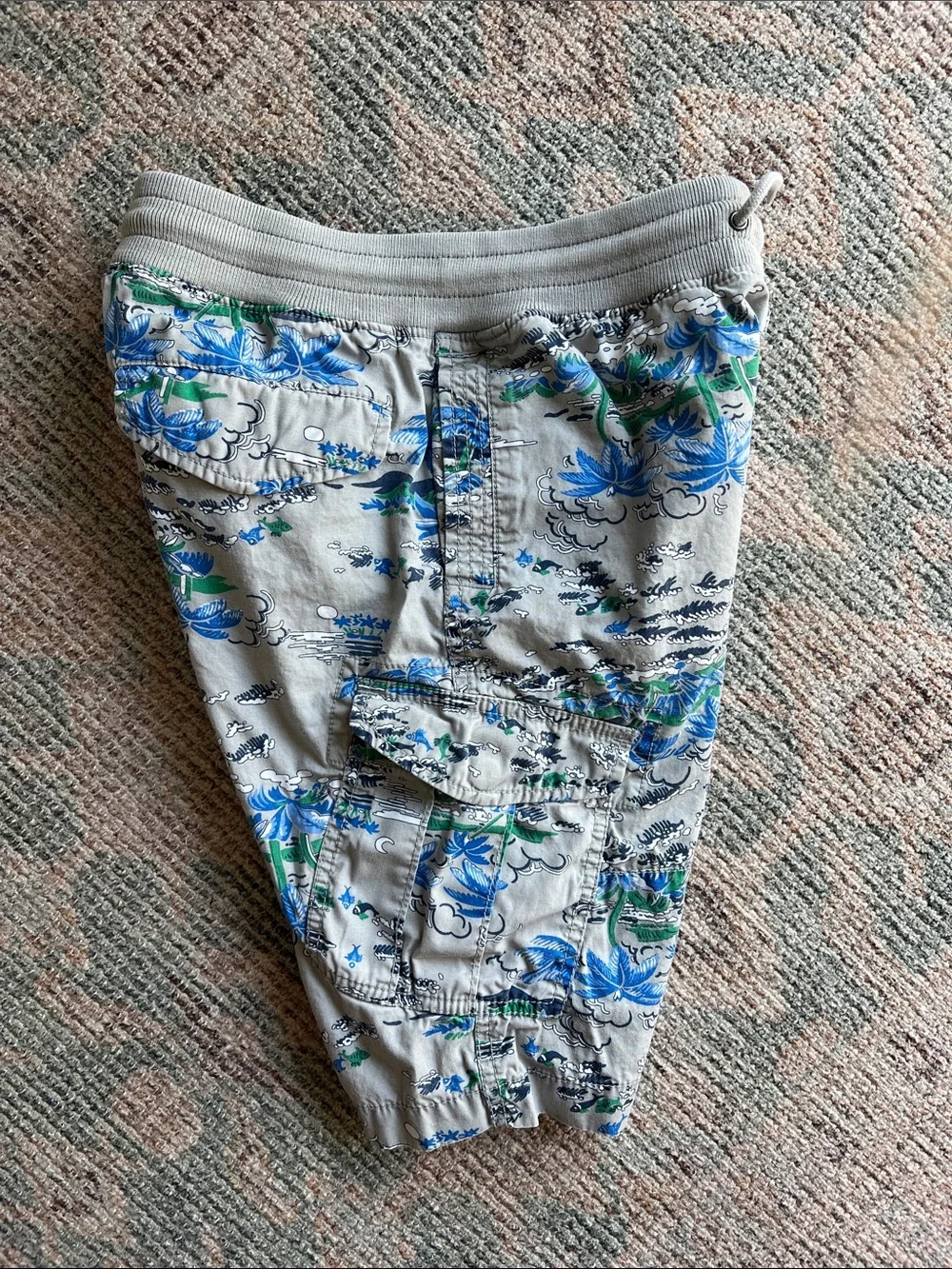GAP Boy’s Cargo Shorts - Gray with Blue & Green